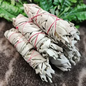 sage bundle 1 768x768 1 570x570