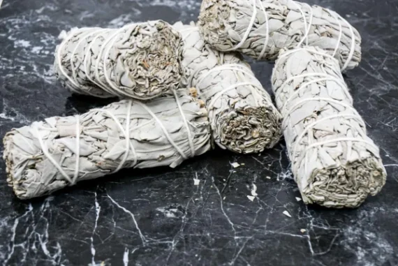 sage bundle 2 599x400 1 570x381