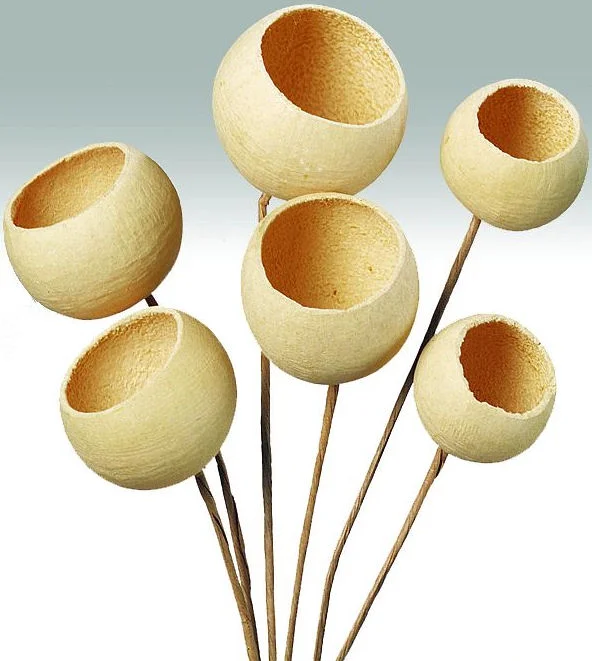 bell cups1 1