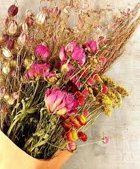 floral heads 2